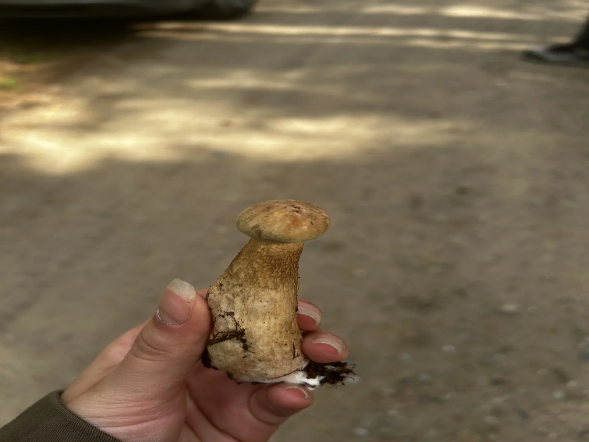 miniatura zgłoszenia